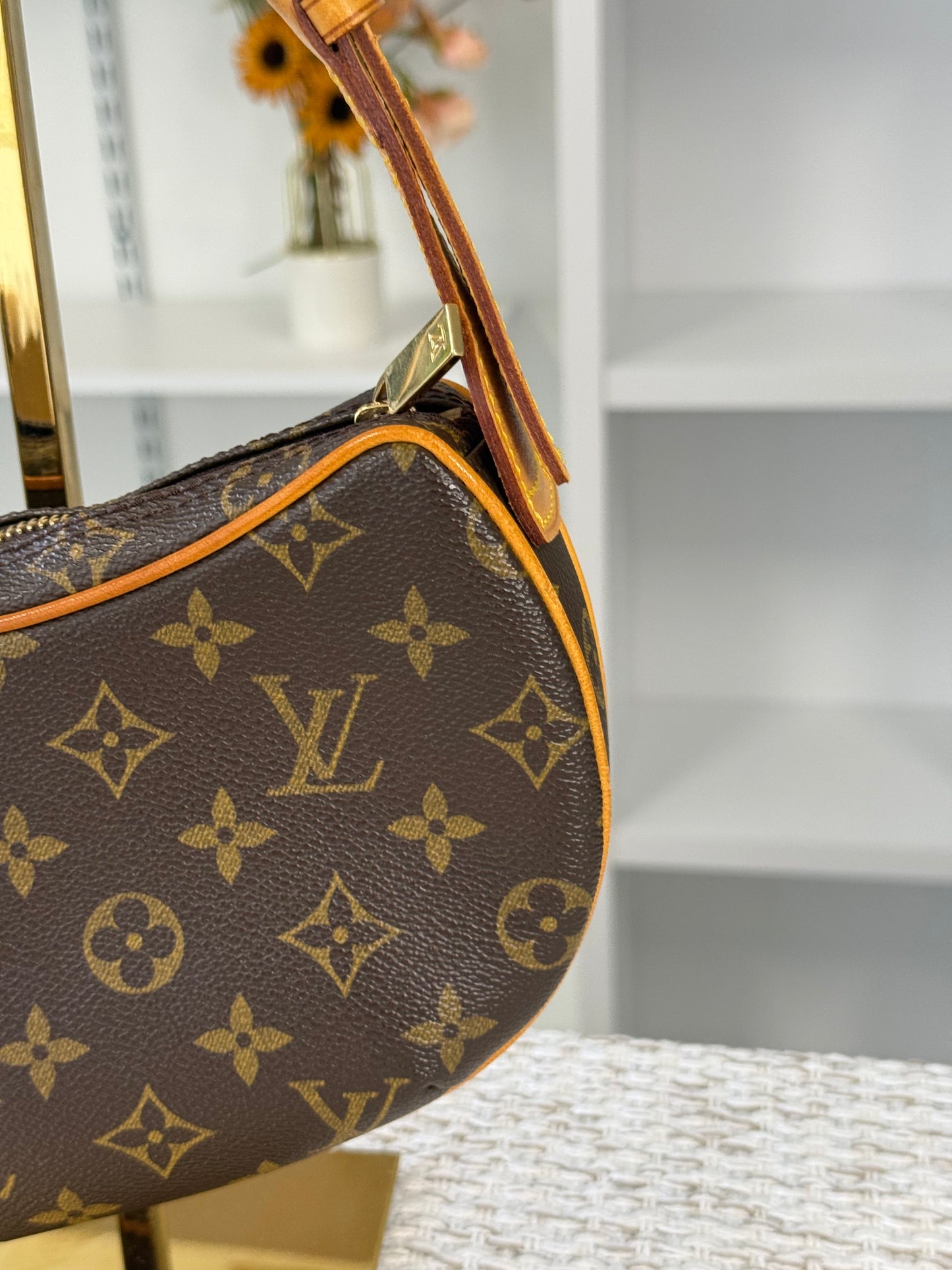 LOUIS VUITTON MONOGRAM CANVAS POCHETTE CROISSANT M10013