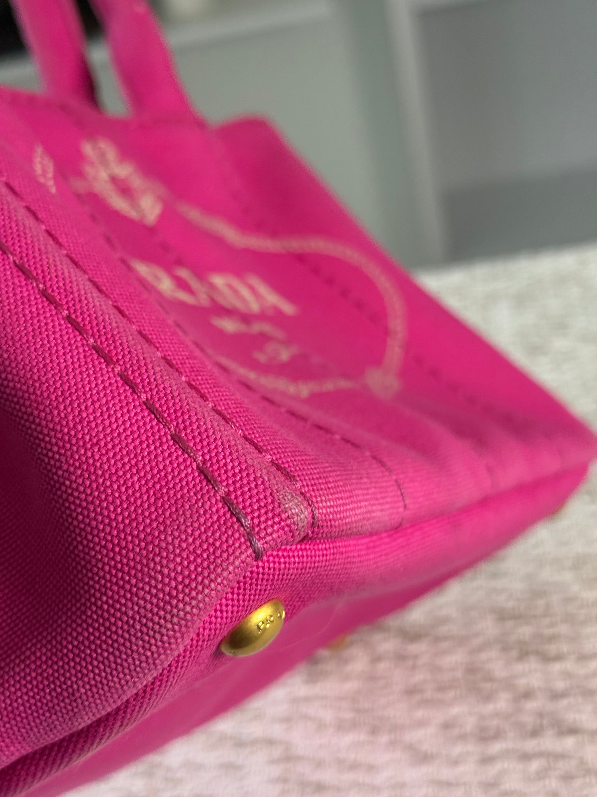 Pink Canapa Canvas Logo-Print Small Tote Bag