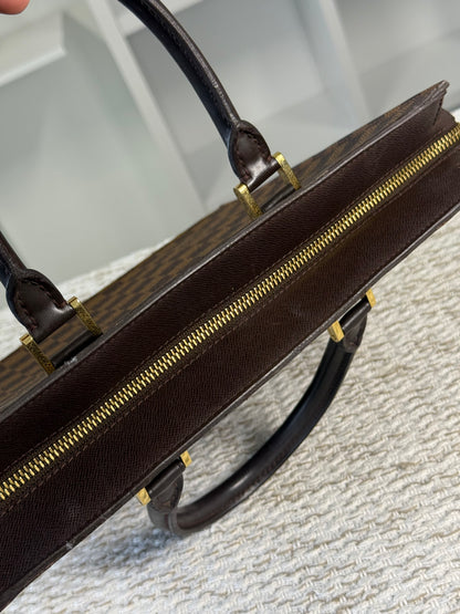 LOUIS VUITTON DAMIER CANVAS VENICE SAC PLAT BAG