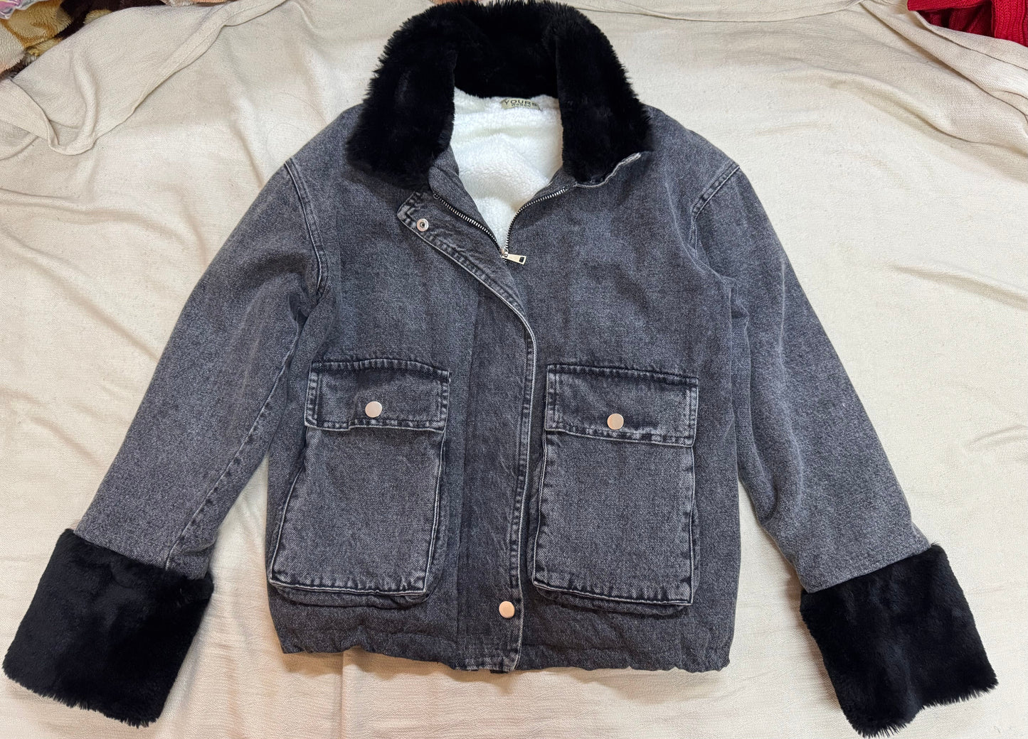 LOUIS VUITTON SAC PLAT CANVAS TOTE BAG in Monogram