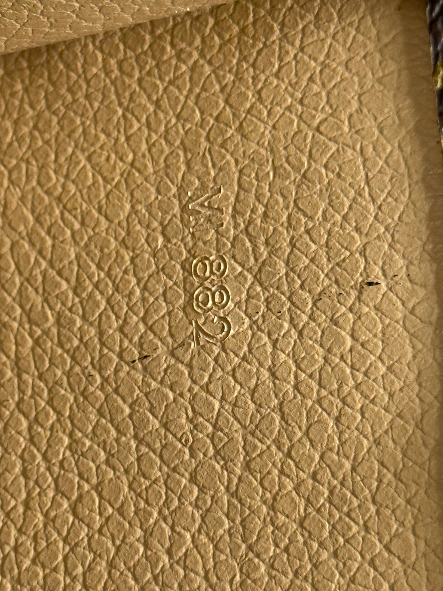 LOUIS VUITTON SAC PLAT CANVAS TOTE BAG in Monogram