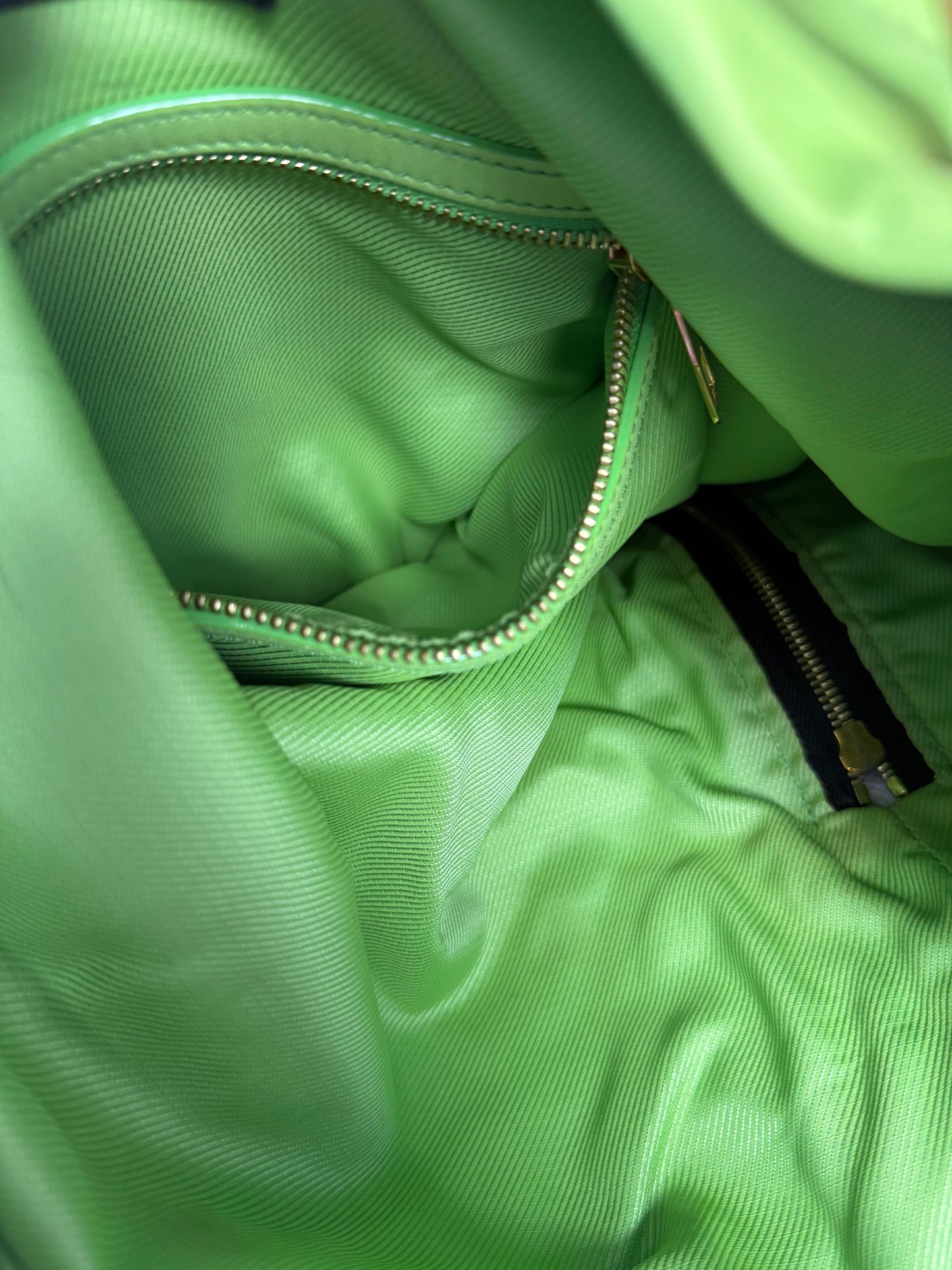 LOUIS VUITTON LIMITED EDITION 2010 BOHEMIAN GYPSY PM GREENBAG