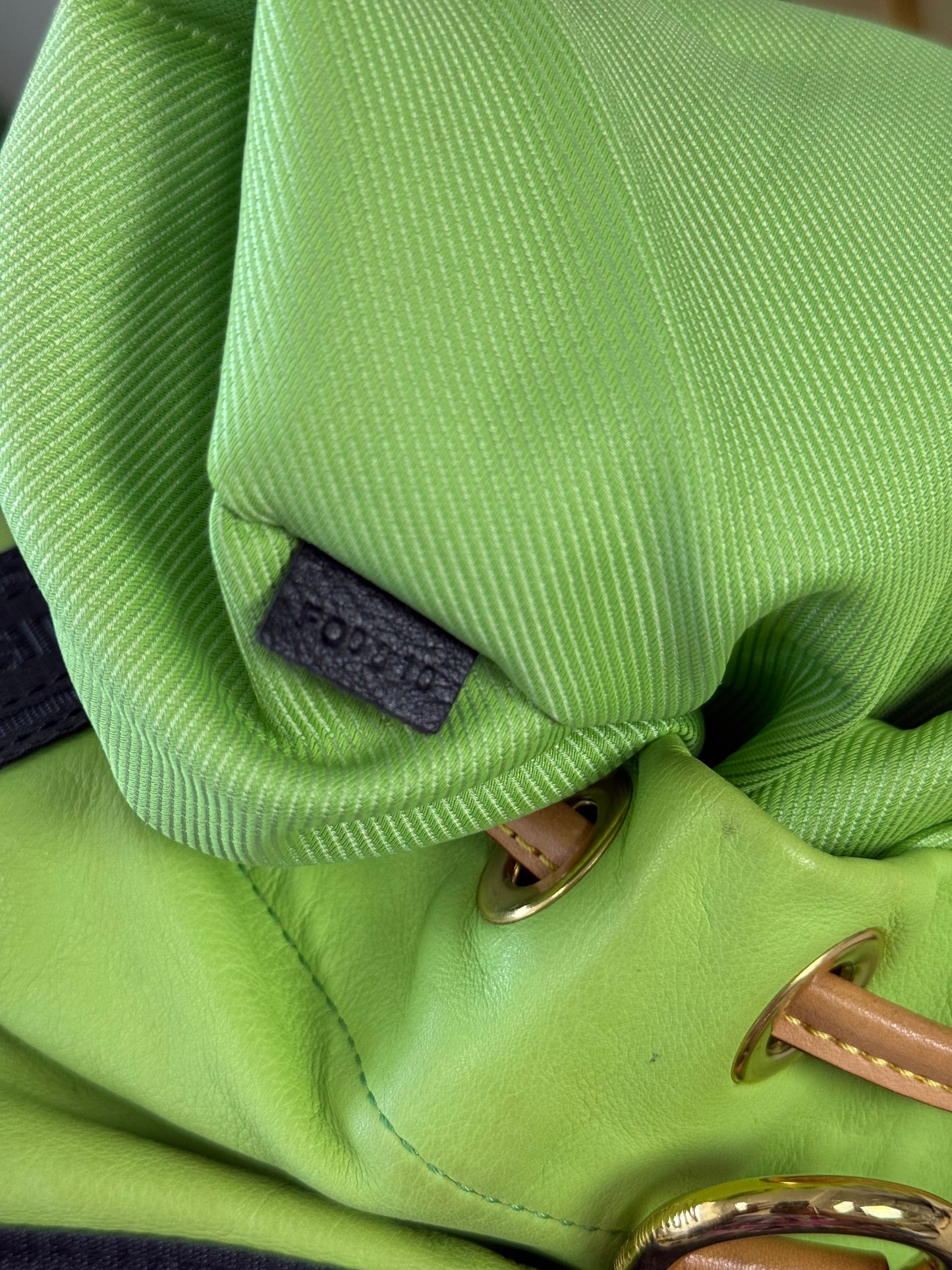 LOUIS VUITTON LIMITED EDITION 2010 BOHEMIAN GYPSY PM GREENBAG