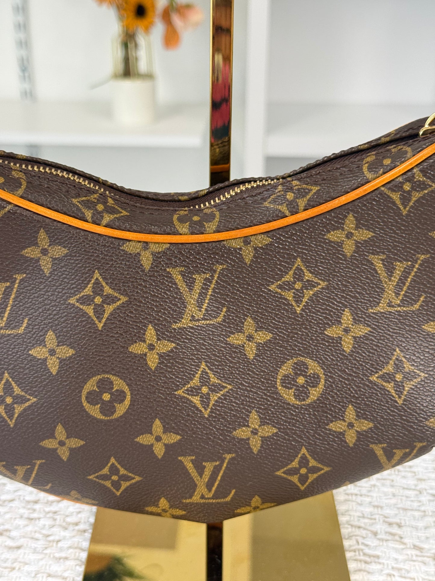 LOUIS VUITTON MONOGRAM CANVAS POCHETTE CROISSANT M10013