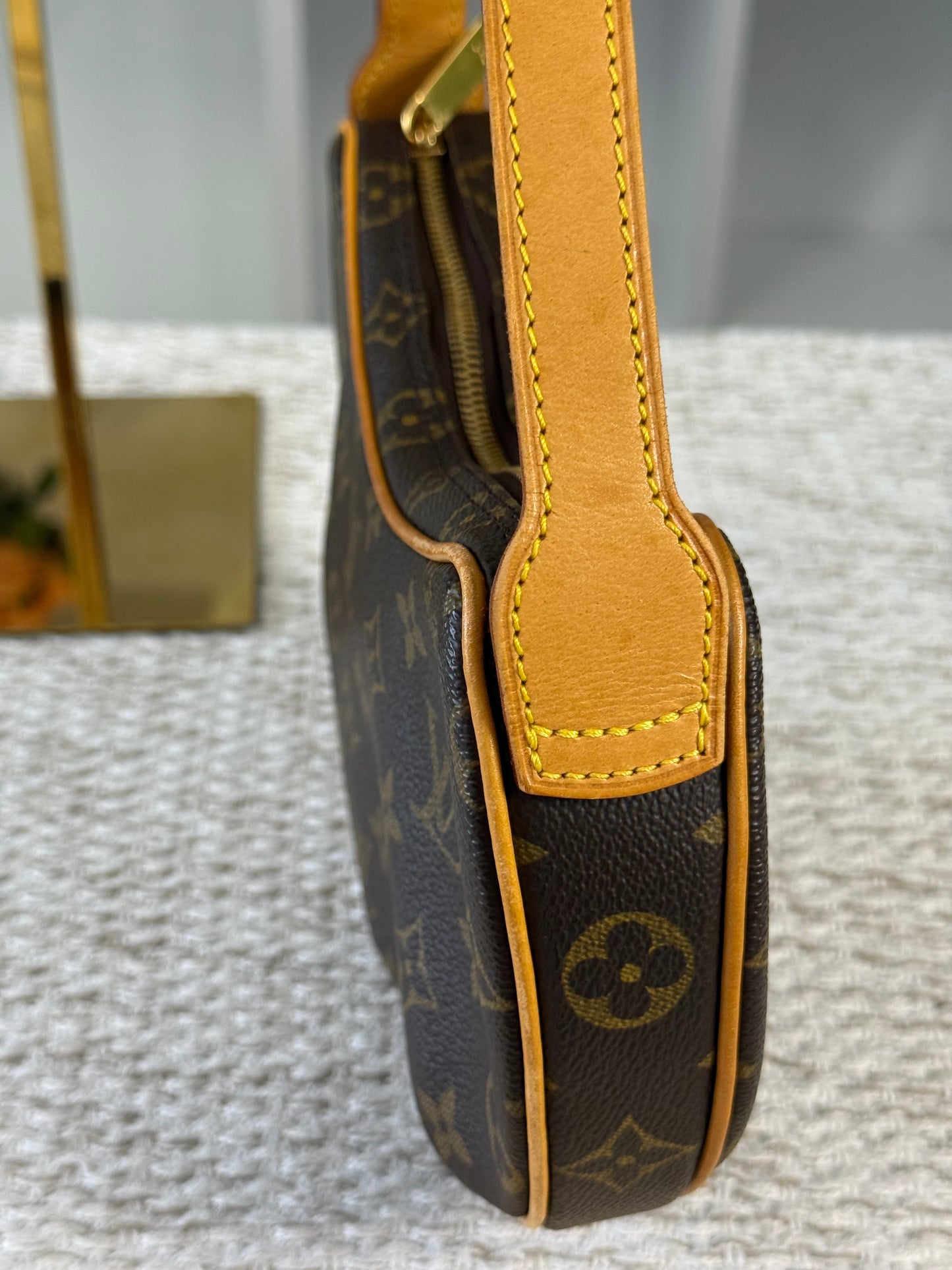 LOUIS VUITTON MONOGRAM CANVAS POCHETTE CROISSANT M10013