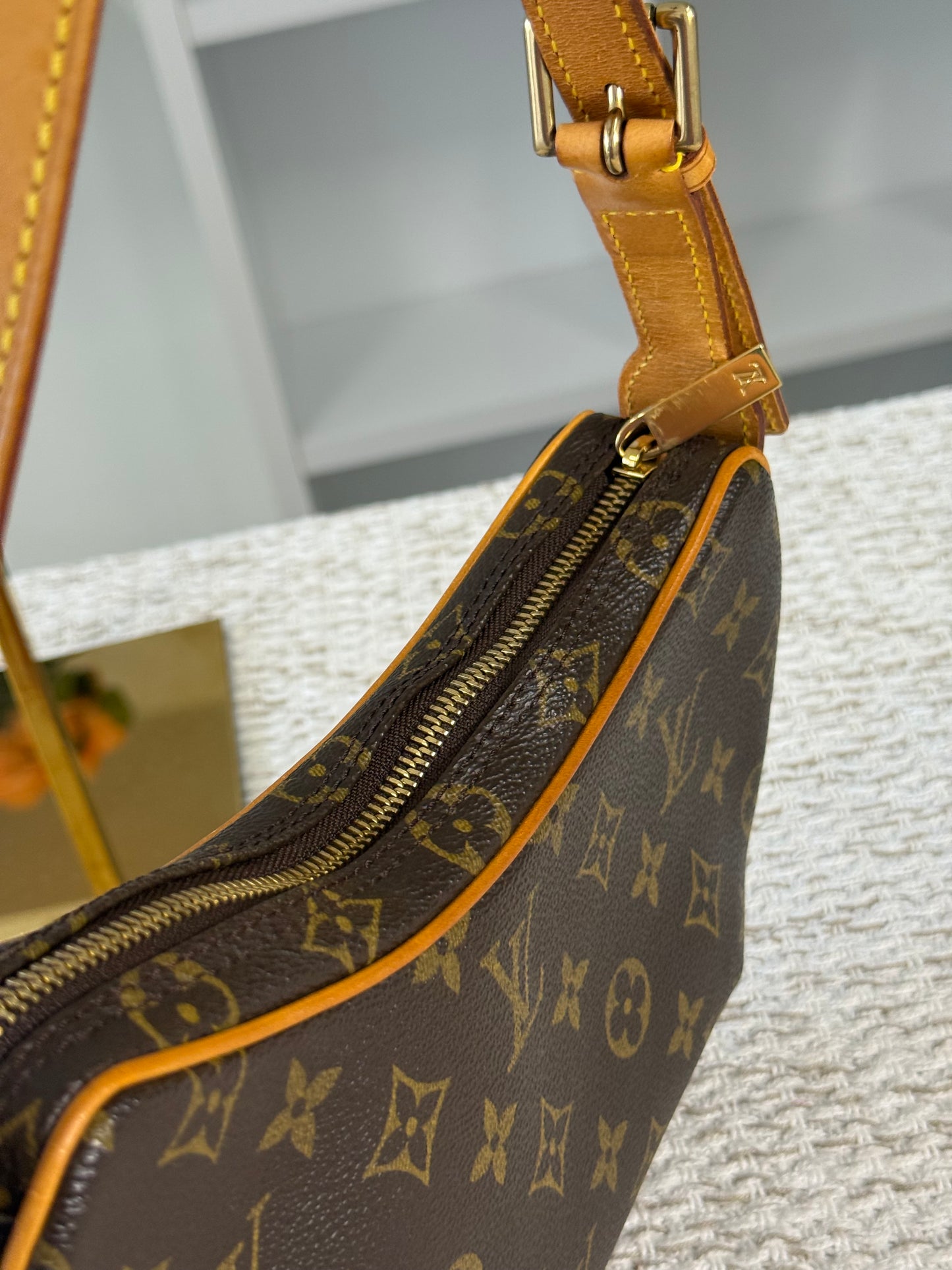 LOUIS VUITTON MONOGRAM CANVAS POCHETTE CROISSANT M10013