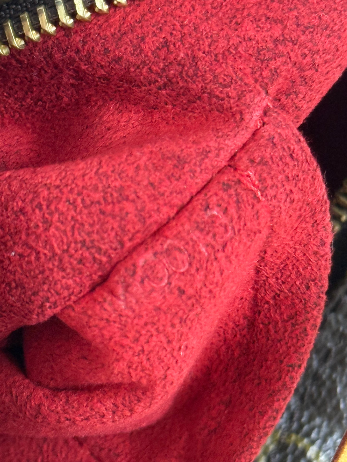 LOUIS VUITTON MONOGRAM CANVAS POCHETTE CROISSANT M10013