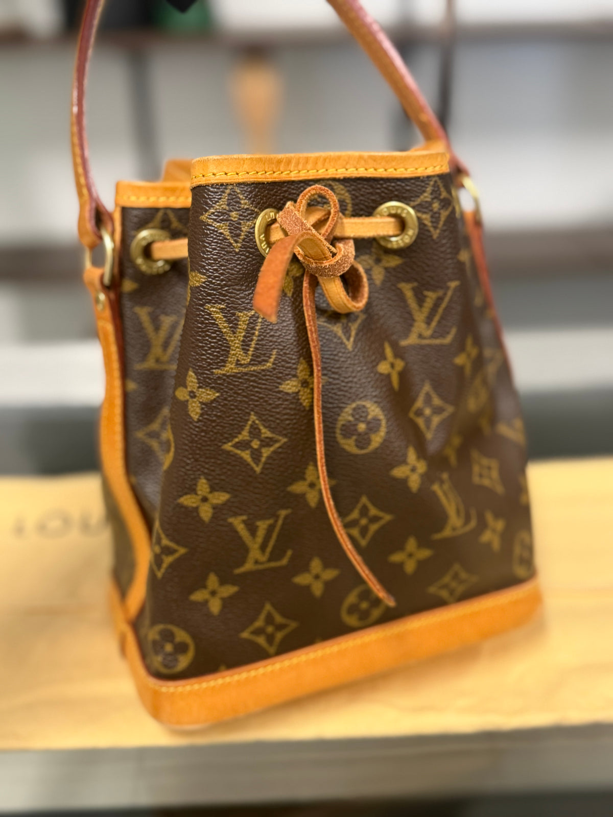 Rare Louis Vuitton Mini Noé Monogram Canvas Bucket Bag M42227