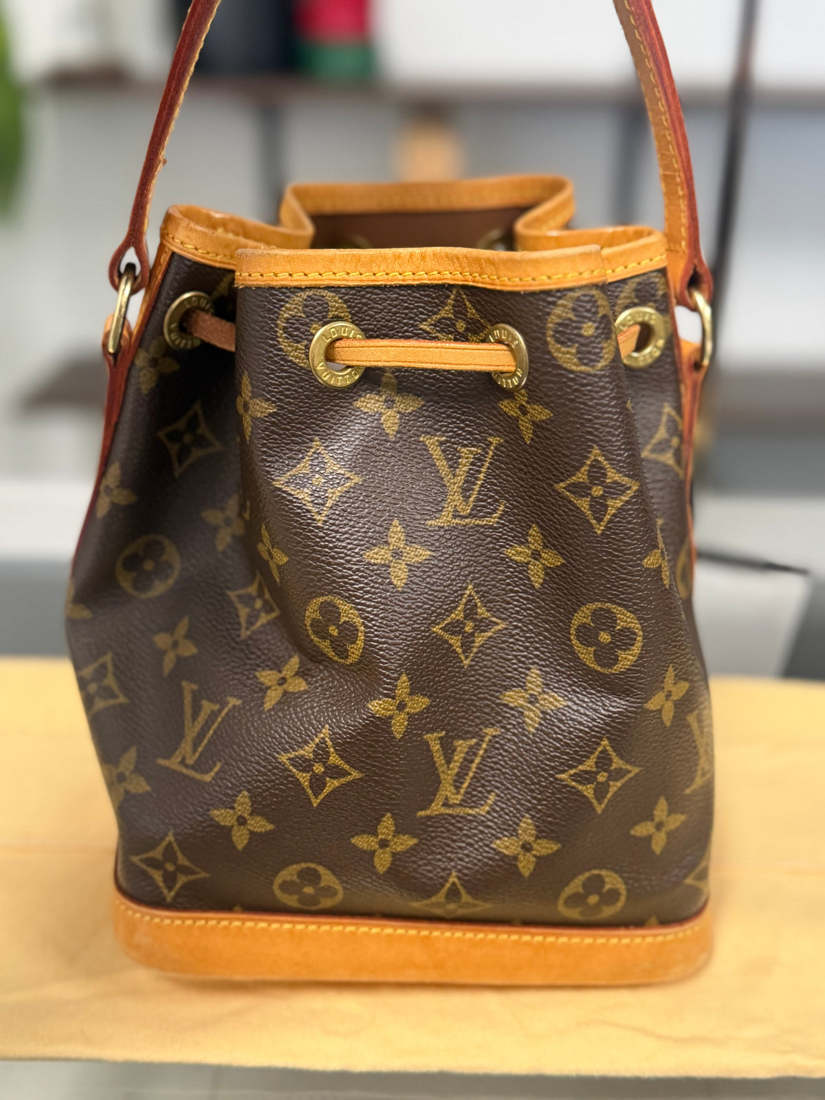 Rare Louis Vuitton Mini Noé Monogram Canvas Bucket Bag M42227