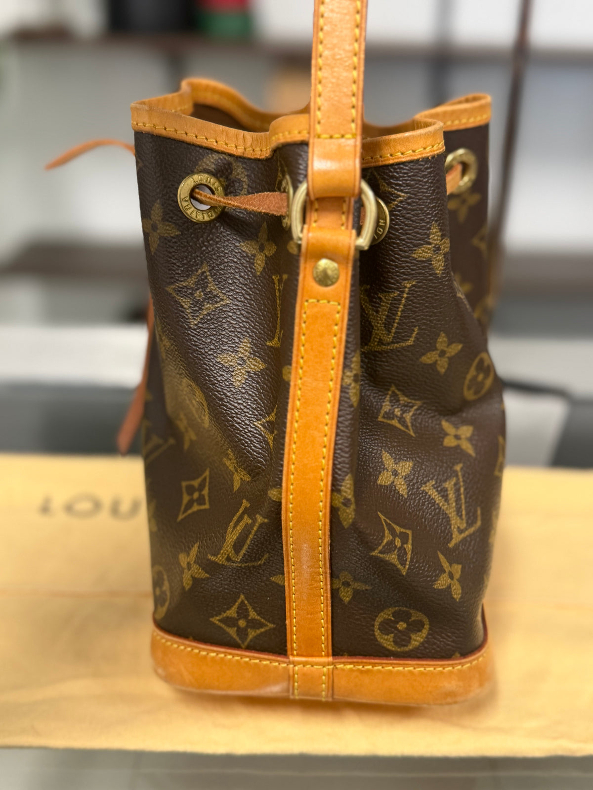 Rare Louis Vuitton Mini Noé Monogram Canvas Bucket Bag M42227