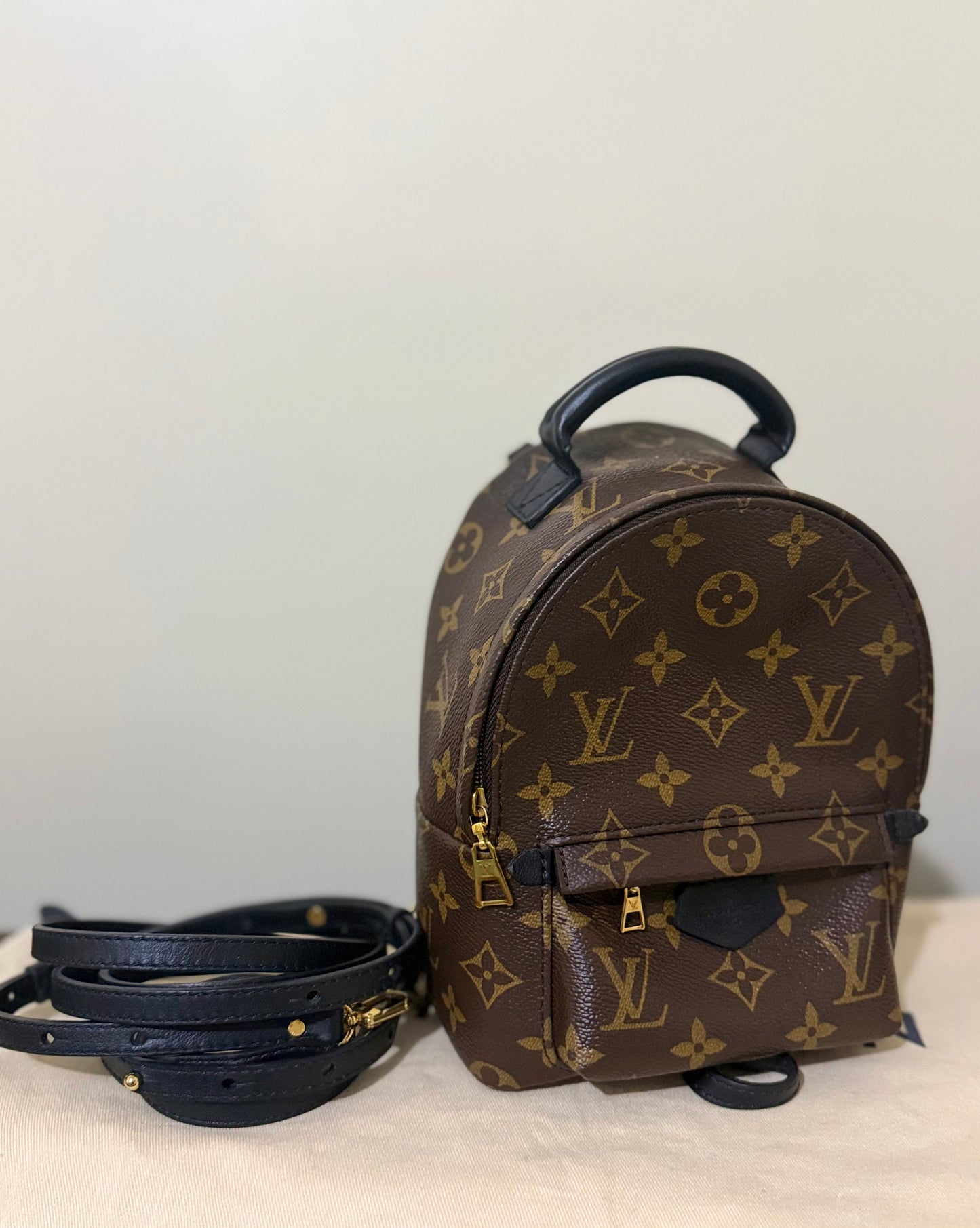 LOUIS VUITTON PALM SPRING MINI (OLD VERSION)