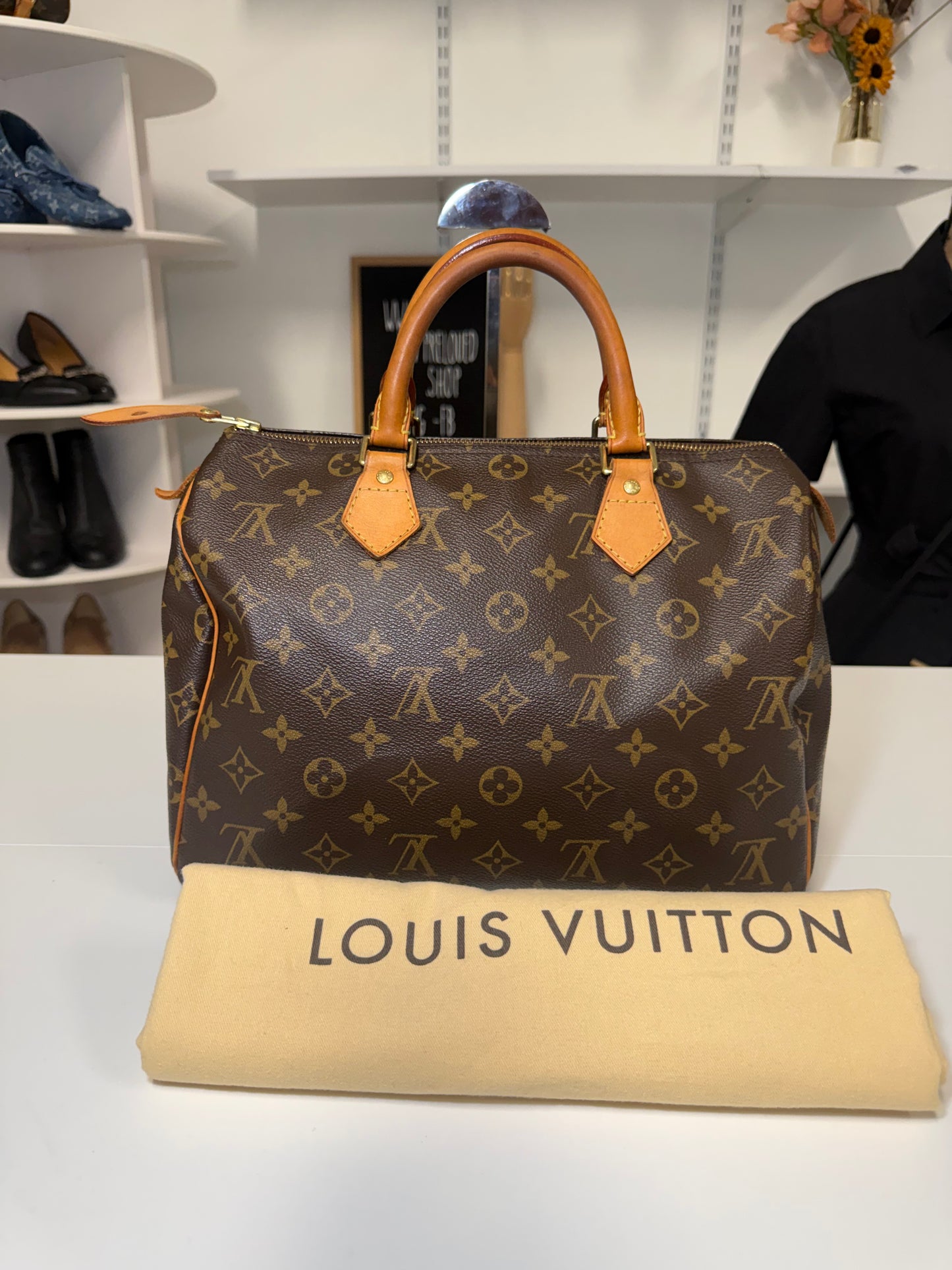 LOUIS VUITTON SPEEDY 30 IN MONOGRAM