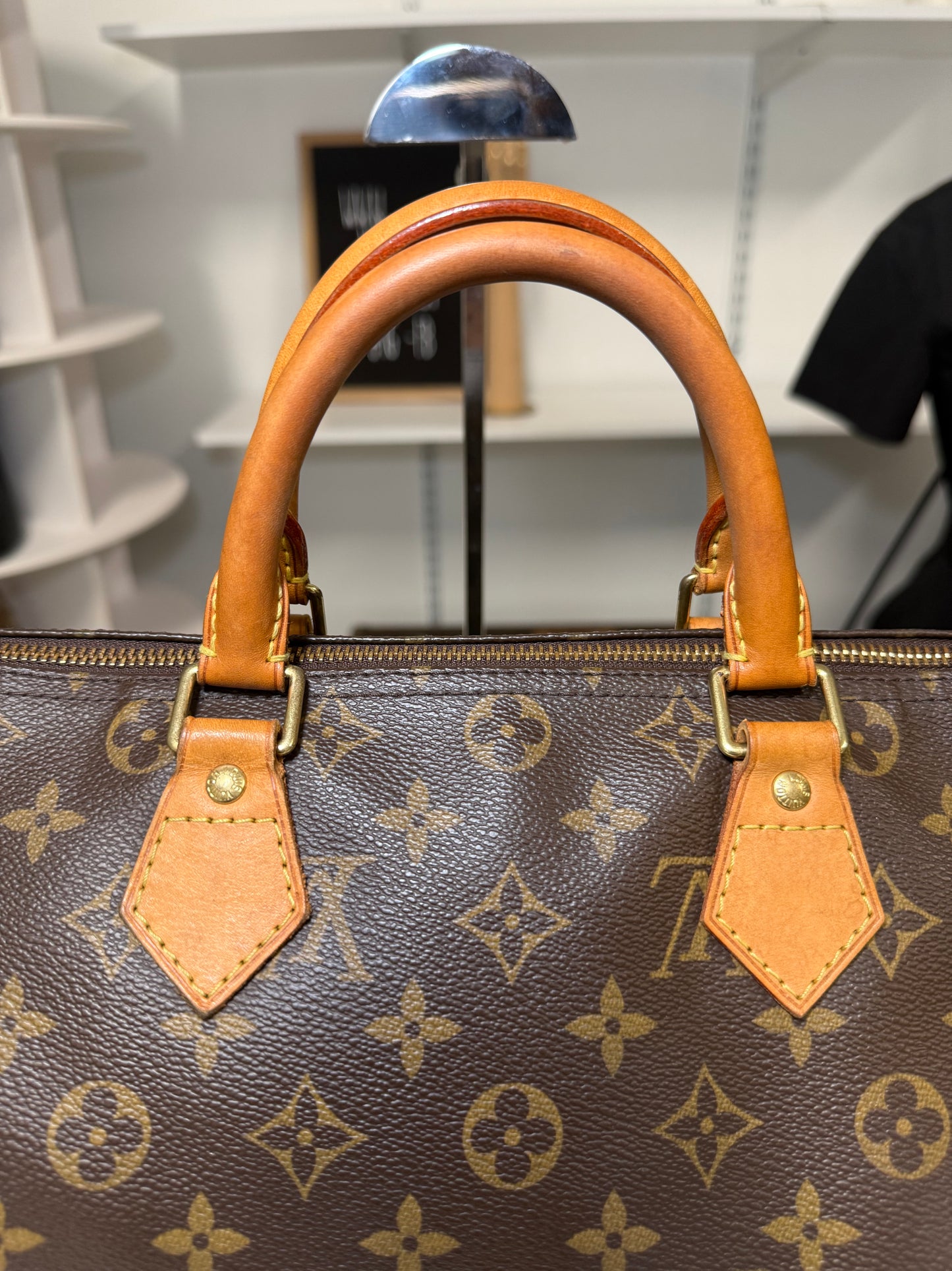 LOUIS VUITTON SPEEDY 30 IN MONOGRAM