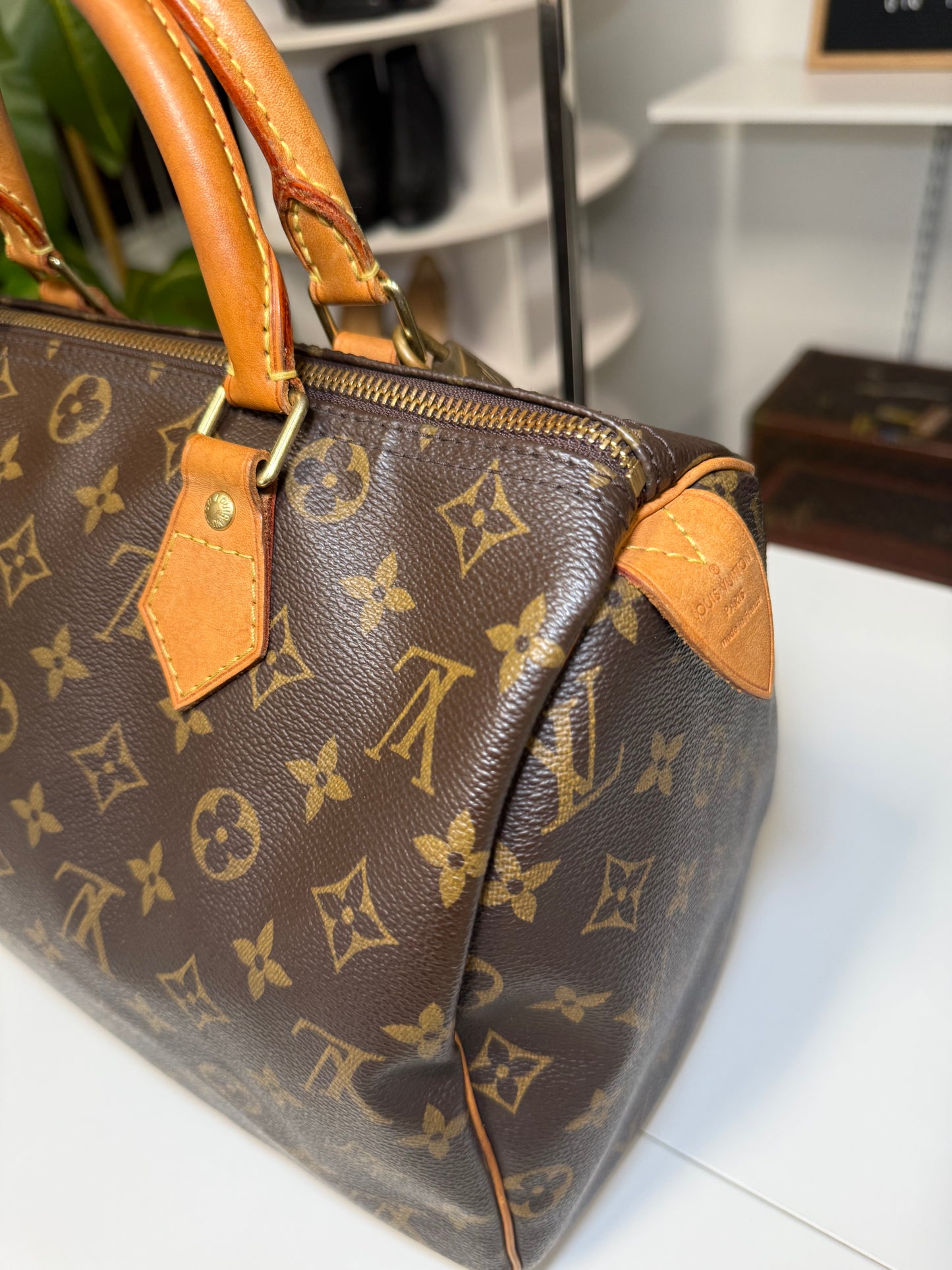LOUIS VUITTON SPEEDY 30 IN MONOGRAM