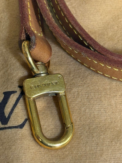 Louis Vuitton Pochette Accessoires in Monogram