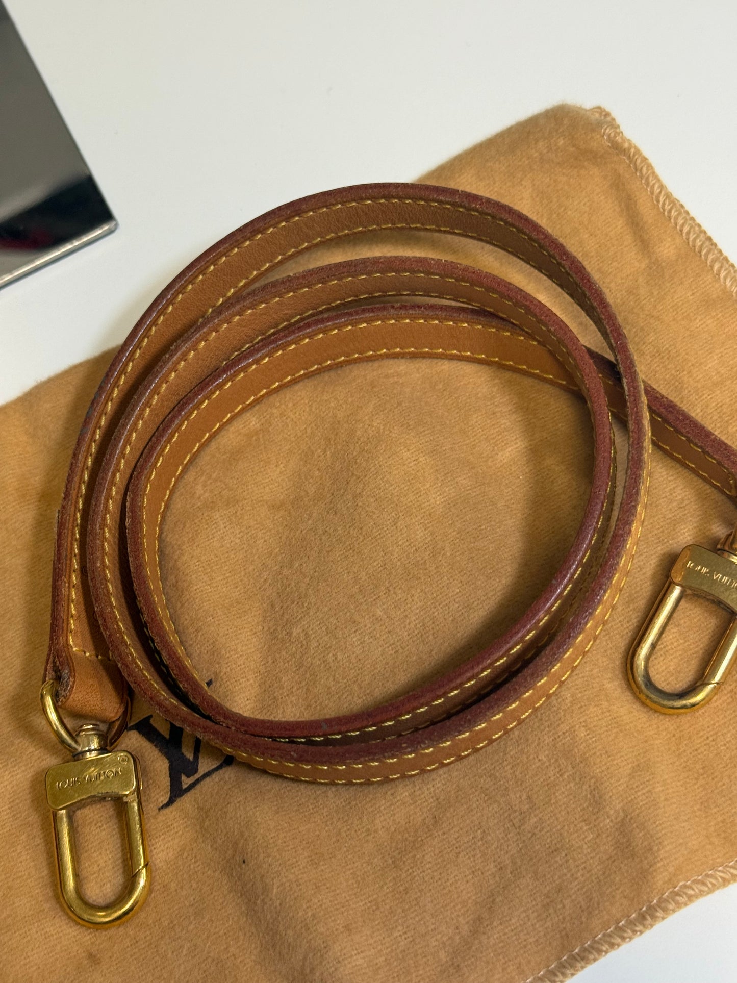 Louis Vuitton Pochette Accessoires in Monogram